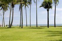 Beachfront view